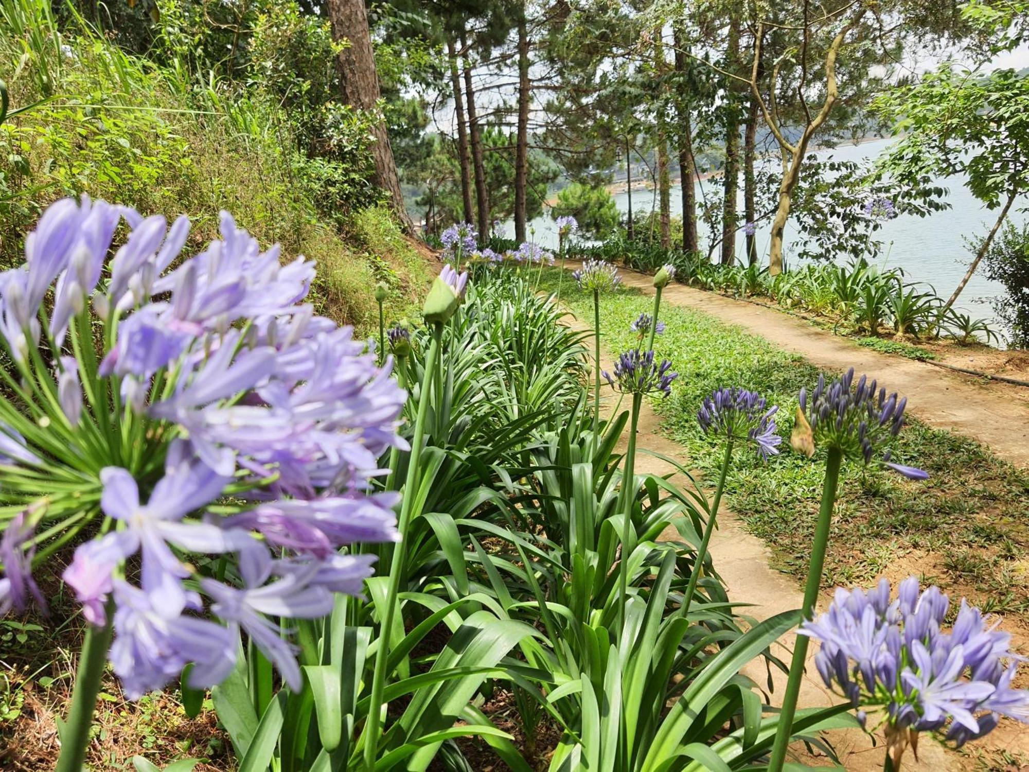 Aparthotel Dahlia Dalat Esterno foto
