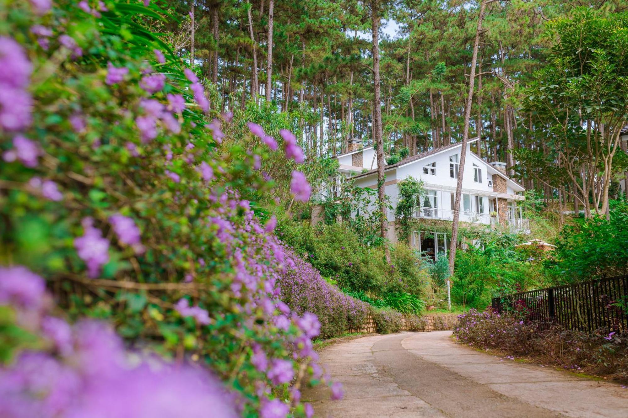 Aparthotel Dahlia Dalat Esterno foto